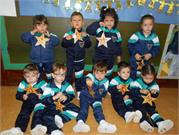 12 Estrelletes per decorar arbre de ca nostra